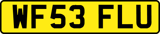 WF53FLU