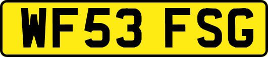 WF53FSG