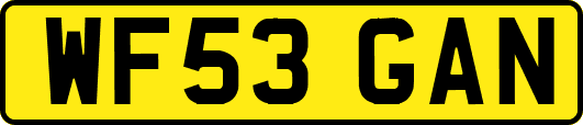 WF53GAN