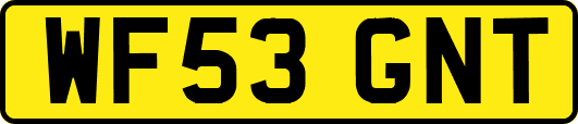WF53GNT