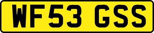 WF53GSS