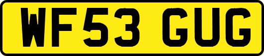 WF53GUG