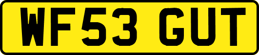 WF53GUT