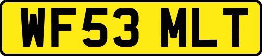 WF53MLT