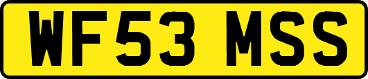 WF53MSS