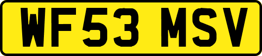 WF53MSV