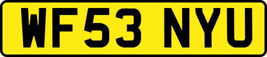 WF53NYU