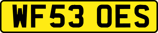 WF53OES