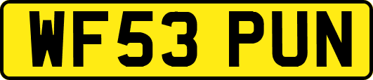 WF53PUN