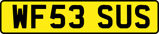 WF53SUS