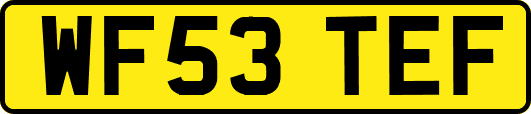 WF53TEF