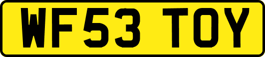 WF53TOY