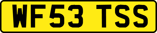 WF53TSS
