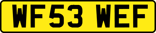 WF53WEF