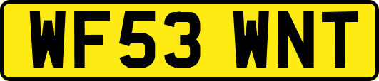 WF53WNT