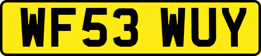 WF53WUY