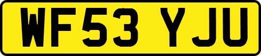 WF53YJU
