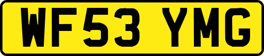 WF53YMG