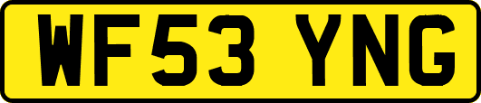 WF53YNG