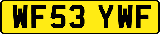 WF53YWF