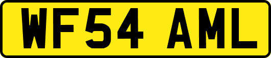 WF54AML
