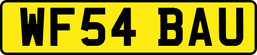 WF54BAU