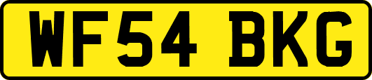 WF54BKG