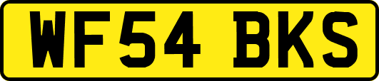 WF54BKS