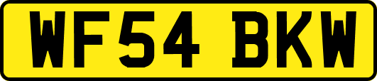 WF54BKW