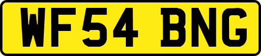 WF54BNG
