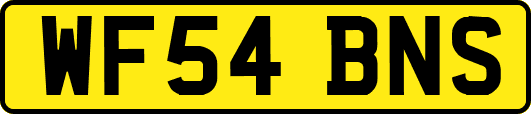 WF54BNS