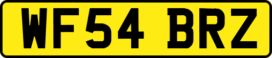WF54BRZ