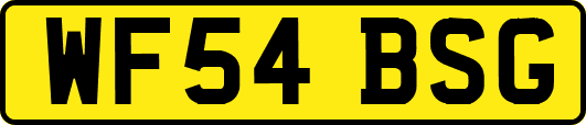 WF54BSG