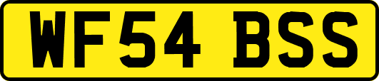 WF54BSS