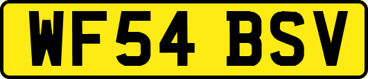 WF54BSV
