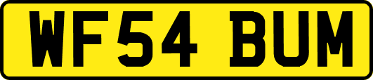 WF54BUM