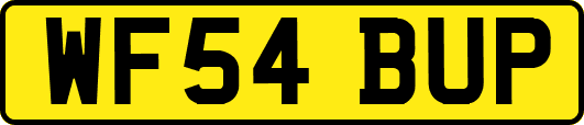 WF54BUP