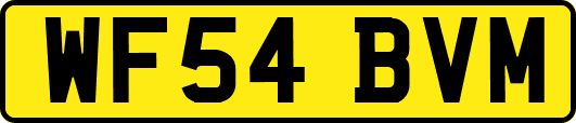 WF54BVM