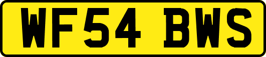 WF54BWS