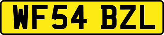 WF54BZL