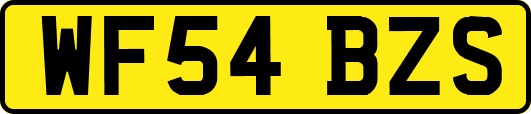 WF54BZS