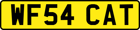WF54CAT