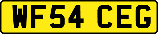 WF54CEG