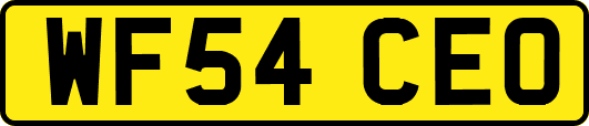 WF54CEO