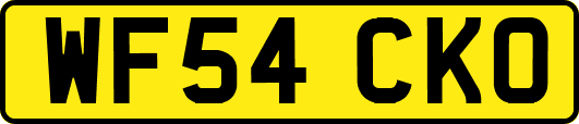 WF54CKO