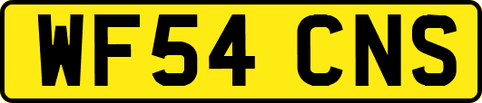 WF54CNS