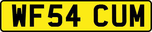 WF54CUM