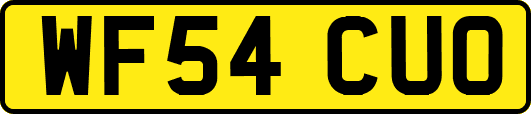 WF54CUO