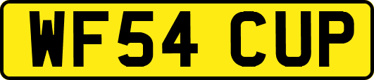 WF54CUP