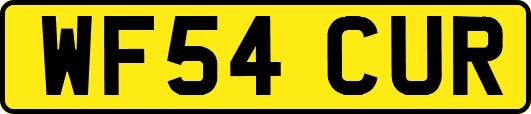 WF54CUR